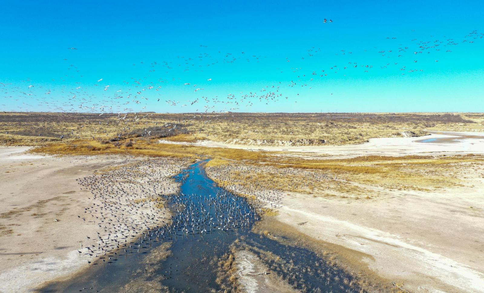 Tahoka Lake Ranch Chas S. Middleton